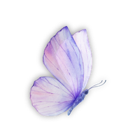 Mariposa